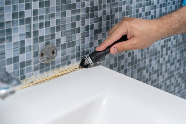 Best Certified Mold Removal  in Holland, OH